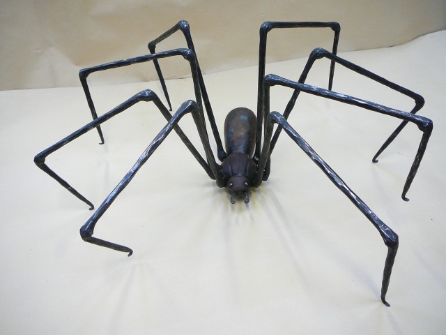 pavouk,001